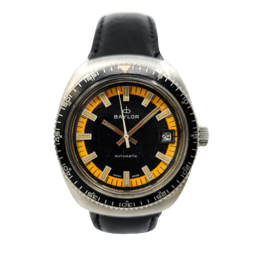 Diver