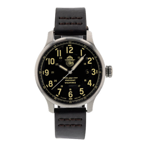 Smokey Bear Watch